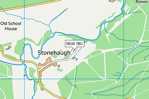 NE48 3BU map - OS VectorMap District (Ordnance Survey)