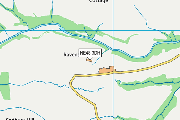 NE48 3DH map - OS VectorMap District (Ordnance Survey) NE48 3DH map - OS VectorMap District (Ordnance Survey)