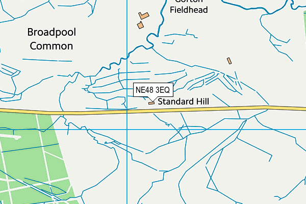 NE48 3EQ map - OS VectorMap District (Ordnance Survey) NE48 3EQ map - OS VectorMap District (Ordnance Survey)