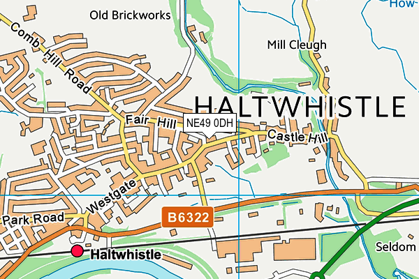 NE49 0DH map - OS VectorMap District (Ordnance Survey)