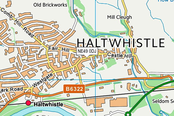 NE49 0DJ map - OS VectorMap District (Ordnance Survey)