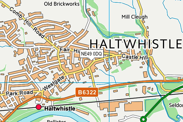 NE49 0DQ map - OS VectorMap District (Ordnance Survey)