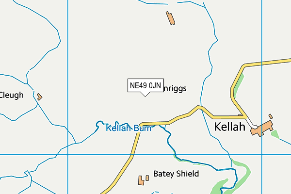 NE49 0JN map - OS VectorMap District (Ordnance Survey)