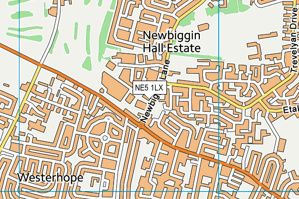 NE5 1LX map - OS VectorMap District (Ordnance Survey) NE5 1LX map - OS VectorMap District (Ordnance Survey)