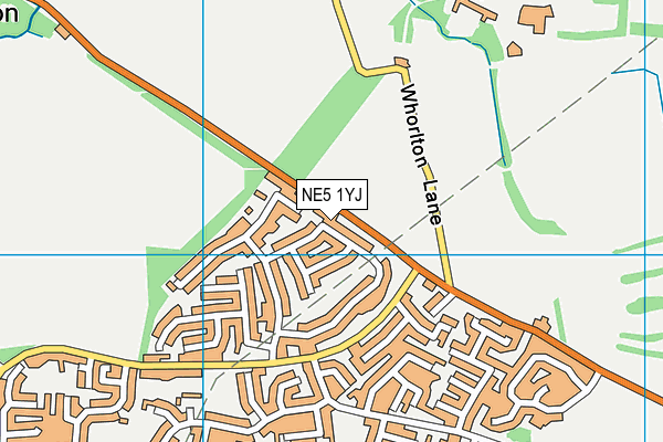 NE5 1YJ map - OS VectorMap District (Ordnance Survey) NE5 1YJ map - OS VectorMap District (Ordnance Survey)
