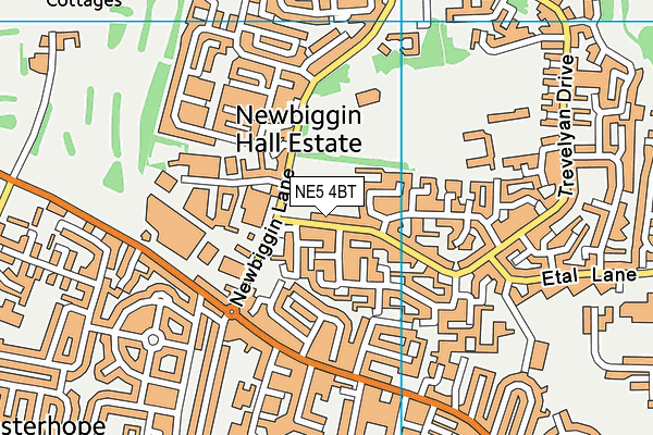 NE5 4BT map - OS VectorMap District (Ordnance Survey) NE5 4BT map - OS VectorMap District (Ordnance Survey)