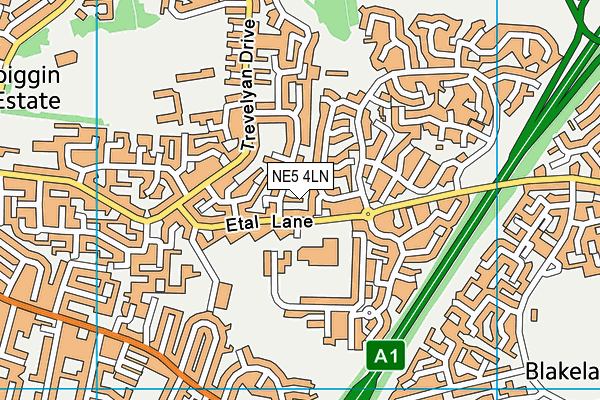 NE5 4LN map - OS VectorMap District (Ordnance Survey) NE5 4LN map - OS VectorMap District (Ordnance Survey)