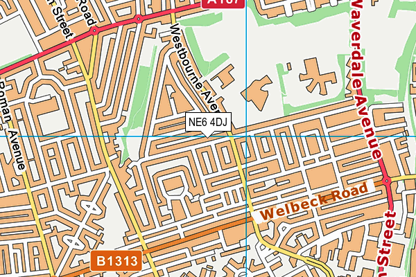 NE6 4DJ map - OS VectorMap District (Ordnance Survey) NE6 4DJ map - OS VectorMap District (Ordnance Survey)