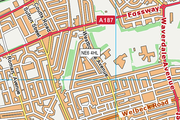 NE6 4HL map - OS VectorMap District (Ordnance Survey) NE6 4HL map - OS VectorMap District (Ordnance Survey)