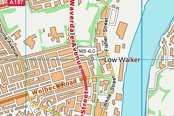 NE6 4LG map - OS VectorMap District (Ordnance Survey) NE6 4LG map - OS VectorMap District (Ordnance Survey)