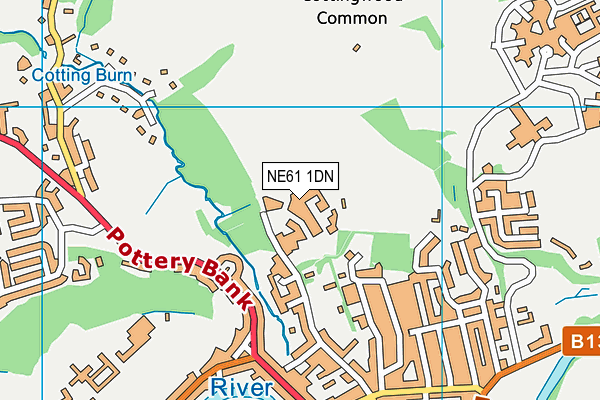 NE61 1DN map - OS VectorMap District (Ordnance Survey) NE61 1DN map - OS VectorMap District (Ordnance Survey)
