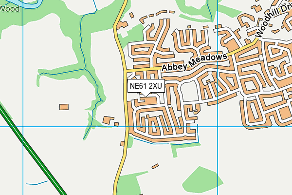 NE61 2XU map - OS VectorMap District (Ordnance Survey)