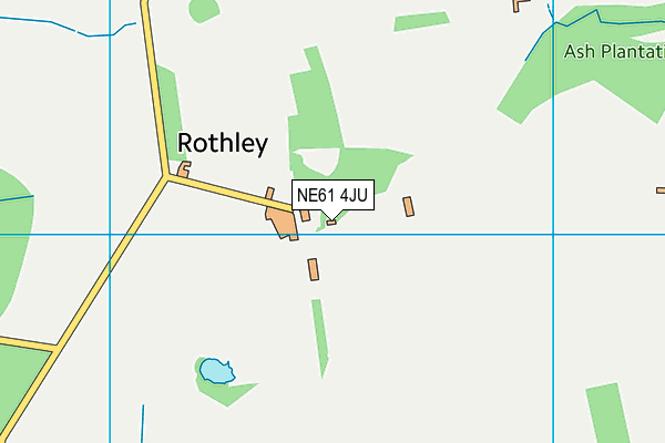 NE61 4JU map - OS VectorMap District (Ordnance Survey) NE61 4JU map - OS VectorMap District (Ordnance Survey)