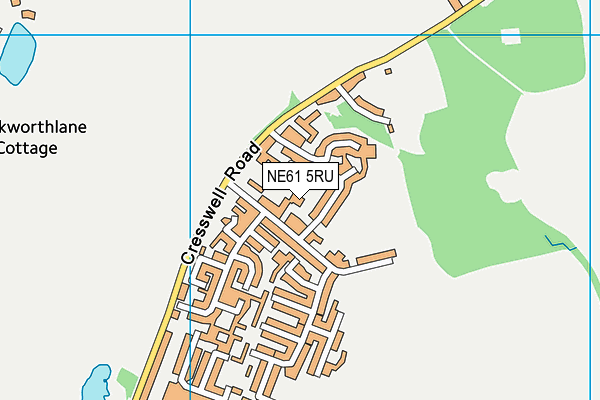 NE61 5RU map - OS VectorMap District (Ordnance Survey) NE61 5RU map - OS VectorMap District (Ordnance Survey)