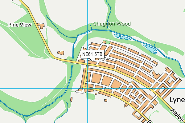 NE61 5TB map - OS VectorMap District (Ordnance Survey) NE61 5TB map - OS VectorMap District (Ordnance Survey)