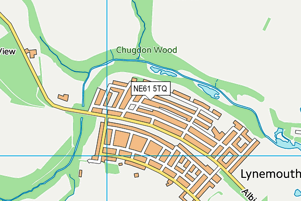 NE61 5TQ map - OS VectorMap District (Ordnance Survey) NE61 5TQ map - OS VectorMap District (Ordnance Survey)