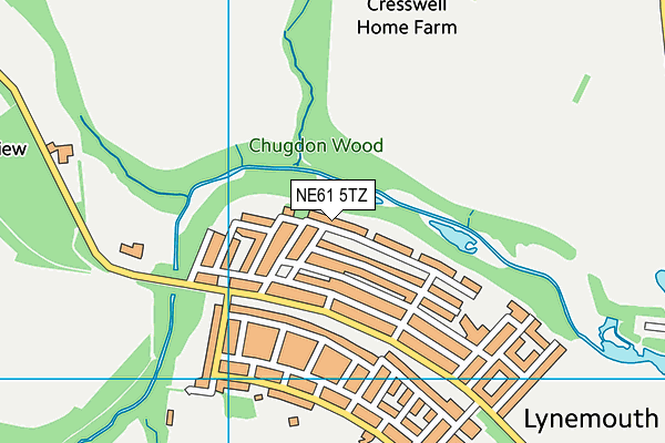 NE61 5TZ map - OS VectorMap District (Ordnance Survey) NE61 5TZ map - OS VectorMap District (Ordnance Survey)