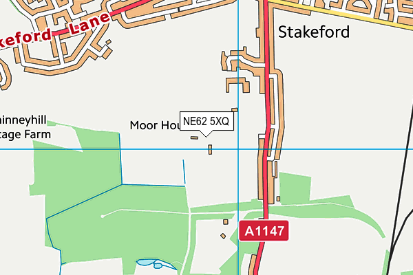 NE62 5XQ map - OS VectorMap District (Ordnance Survey) NE62 5XQ map - OS VectorMap District (Ordnance Survey)