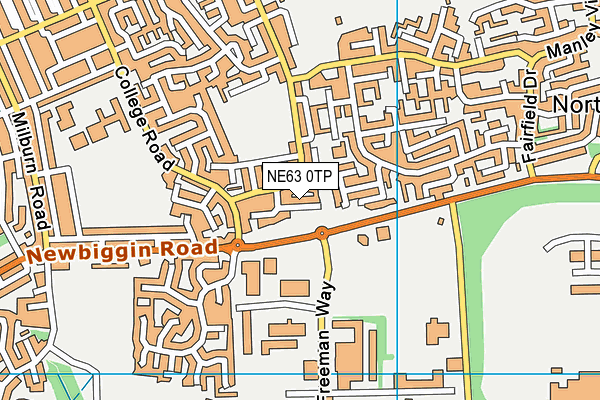 NE63 0TP map - OS VectorMap District (Ordnance Survey) NE63 0TP map - OS VectorMap District (Ordnance Survey)