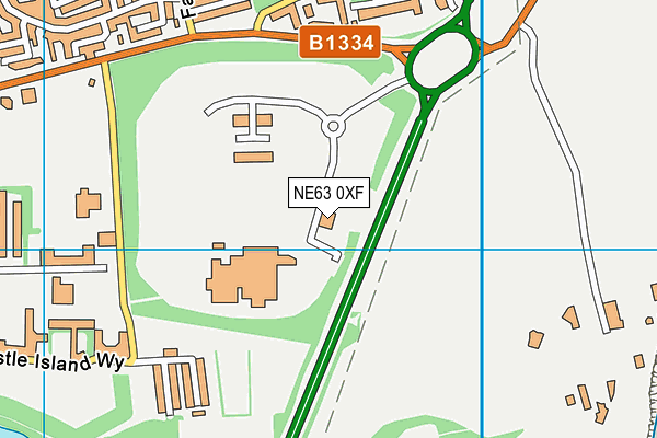 NE63 0XF map - OS VectorMap District (Ordnance Survey) NE63 0XF map - OS VectorMap District (Ordnance Survey)