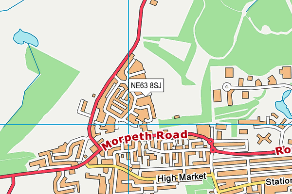 NE63 8SJ map - OS VectorMap District (Ordnance Survey)