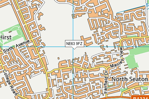 NE63 9FZ map - OS VectorMap District (Ordnance Survey) NE63 9FZ map - OS VectorMap District (Ordnance Survey)
