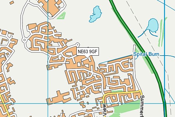 NE63 9GF map - OS VectorMap District (Ordnance Survey) NE63 9GF map - OS VectorMap District (Ordnance Survey)