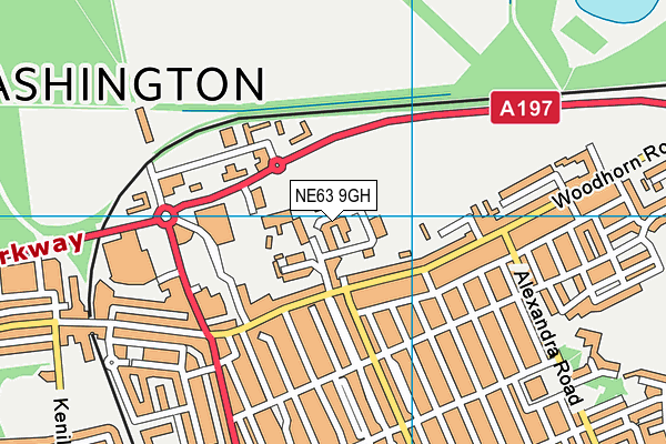NE63 9GH map - OS VectorMap District (Ordnance Survey) NE63 9GH map - OS VectorMap District (Ordnance Survey)