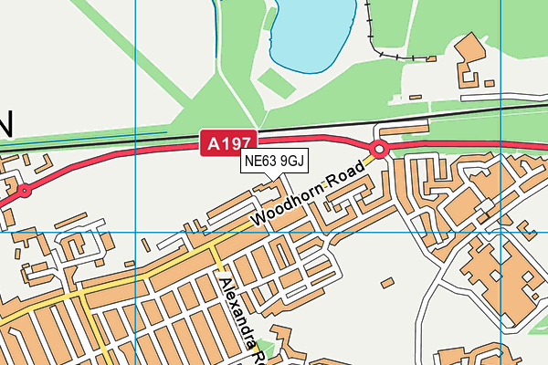 NE63 9GJ map - OS VectorMap District (Ordnance Survey)