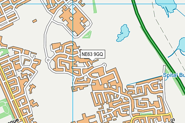 NE63 9GQ map - OS VectorMap District (Ordnance Survey) NE63 9GQ map - OS VectorMap District (Ordnance Survey)