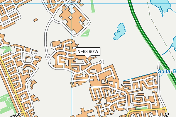 NE63 9GW map - OS VectorMap District (Ordnance Survey) NE63 9GW map - OS VectorMap District (Ordnance Survey)