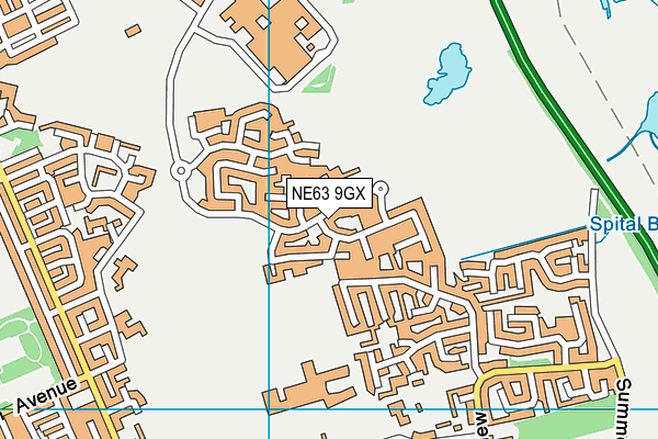 NE63 9GX map - OS VectorMap District (Ordnance Survey) NE63 9GX map - OS VectorMap District (Ordnance Survey)