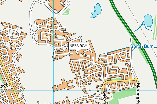 NE63 9GY map - OS VectorMap District (Ordnance Survey) NE63 9GY map - OS VectorMap District (Ordnance Survey)
