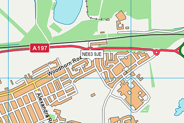 NE63 9JE map - OS VectorMap District (Ordnance Survey) NE63 9JE map - OS VectorMap District (Ordnance Survey)