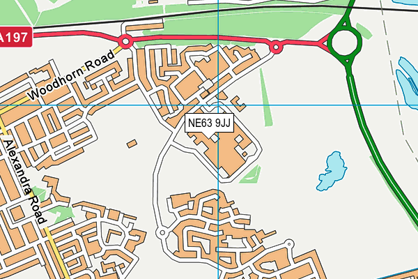 NE63 9JJ map - OS VectorMap District (Ordnance Survey) NE63 9JJ map - OS VectorMap District (Ordnance Survey)