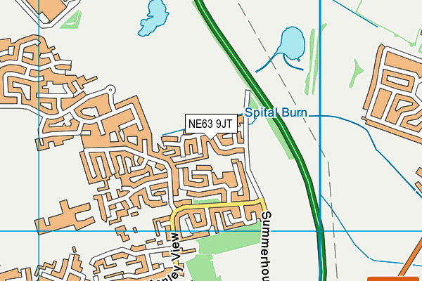 NE63 9JT map - OS VectorMap District (Ordnance Survey) NE63 9JT map - OS VectorMap District (Ordnance Survey)