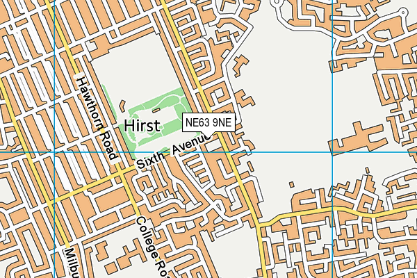 NE63 9NE map - OS VectorMap District (Ordnance Survey) NE63 9NE map - OS VectorMap District (Ordnance Survey)