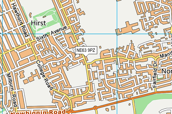NE63 9PZ map - OS VectorMap District (Ordnance Survey) NE63 9PZ map - OS VectorMap District (Ordnance Survey)