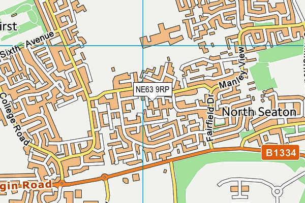 NE63 9RP map - OS VectorMap District (Ordnance Survey) NE63 9RP map - OS VectorMap District (Ordnance Survey)