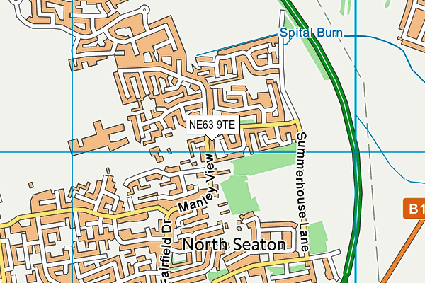 NE63 9TE map - OS VectorMap District (Ordnance Survey) NE63 9TE map - OS VectorMap District (Ordnance Survey)