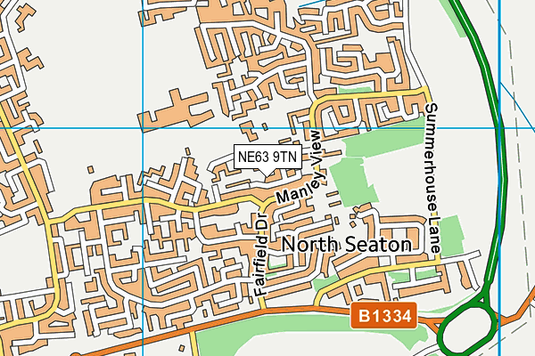 NE63 9TN map - OS VectorMap District (Ordnance Survey) NE63 9TN map - OS VectorMap District (Ordnance Survey)