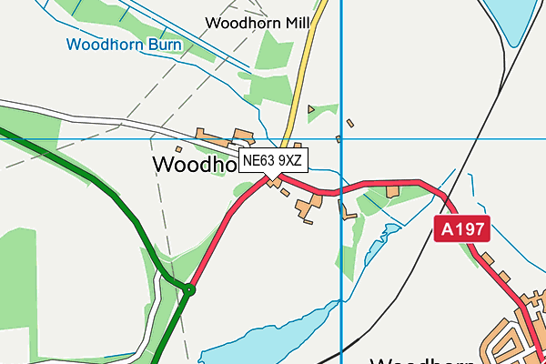 NE63 9XZ map - OS VectorMap District (Ordnance Survey) NE63 9XZ map - OS VectorMap District (Ordnance Survey)