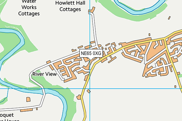 NE65 0XG map - OS VectorMap District (Ordnance Survey) NE65 0XG map - OS VectorMap District (Ordnance Survey)