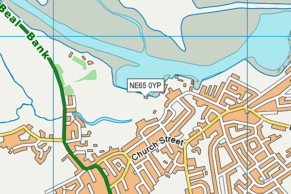 NE65 0YP map - OS VectorMap District (Ordnance Survey) NE65 0YP map - OS VectorMap District (Ordnance Survey)