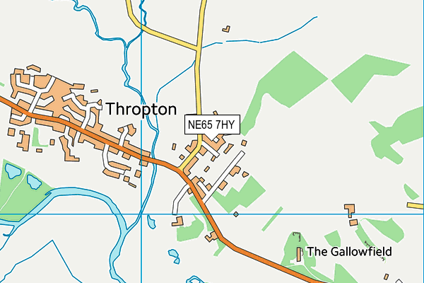 NE65 7HY map - OS VectorMap District (Ordnance Survey) NE65 7HY map - OS VectorMap District (Ordnance Survey)