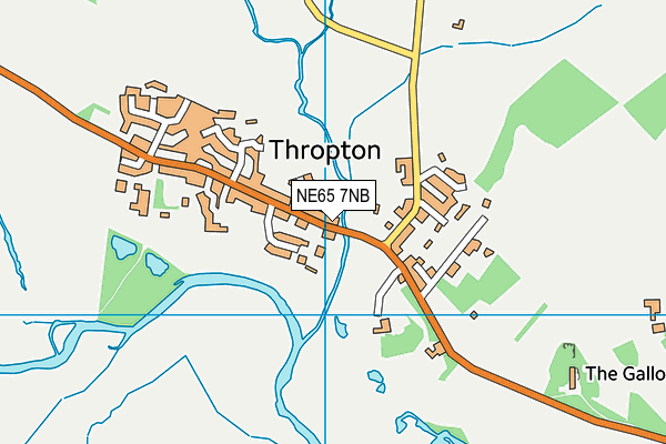 NE65 7NB map - OS VectorMap District (Ordnance Survey) NE65 7NB map - OS VectorMap District (Ordnance Survey)