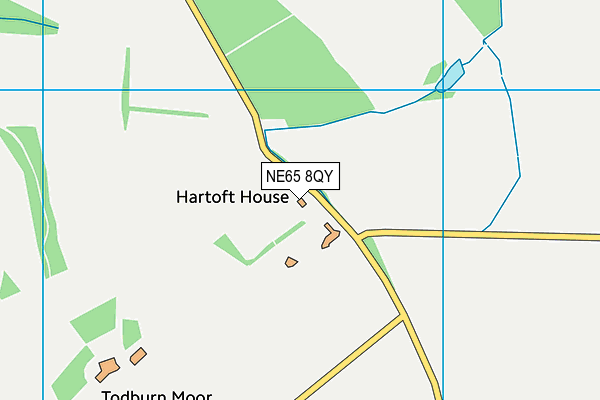 NE65 8QY map - OS VectorMap District (Ordnance Survey)