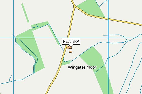NE65 8RP map - OS VectorMap District (Ordnance Survey) NE65 8RP map - OS VectorMap District (Ordnance Survey)