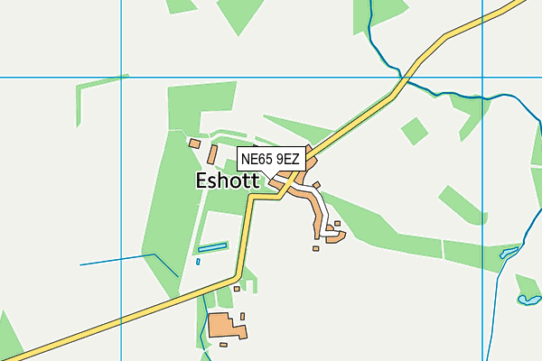 NE65 9EZ map - OS VectorMap District (Ordnance Survey)