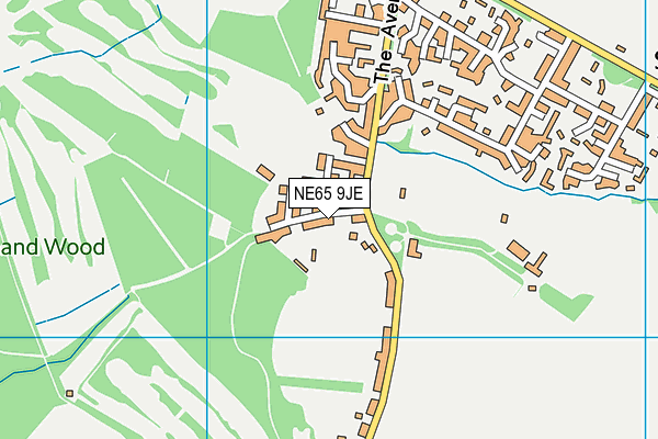 NE65 9JE map - OS VectorMap District (Ordnance Survey) NE65 9JE map - OS VectorMap District (Ordnance Survey)